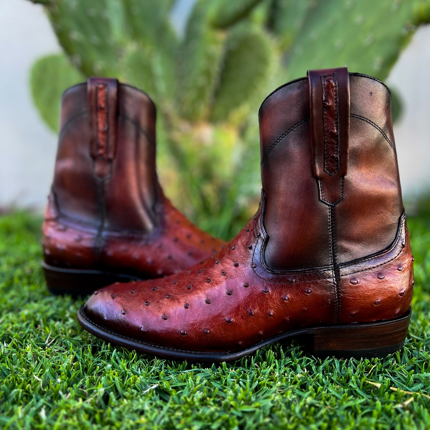 EMMA BROWN AVESTRUZ BOOTS OVAL