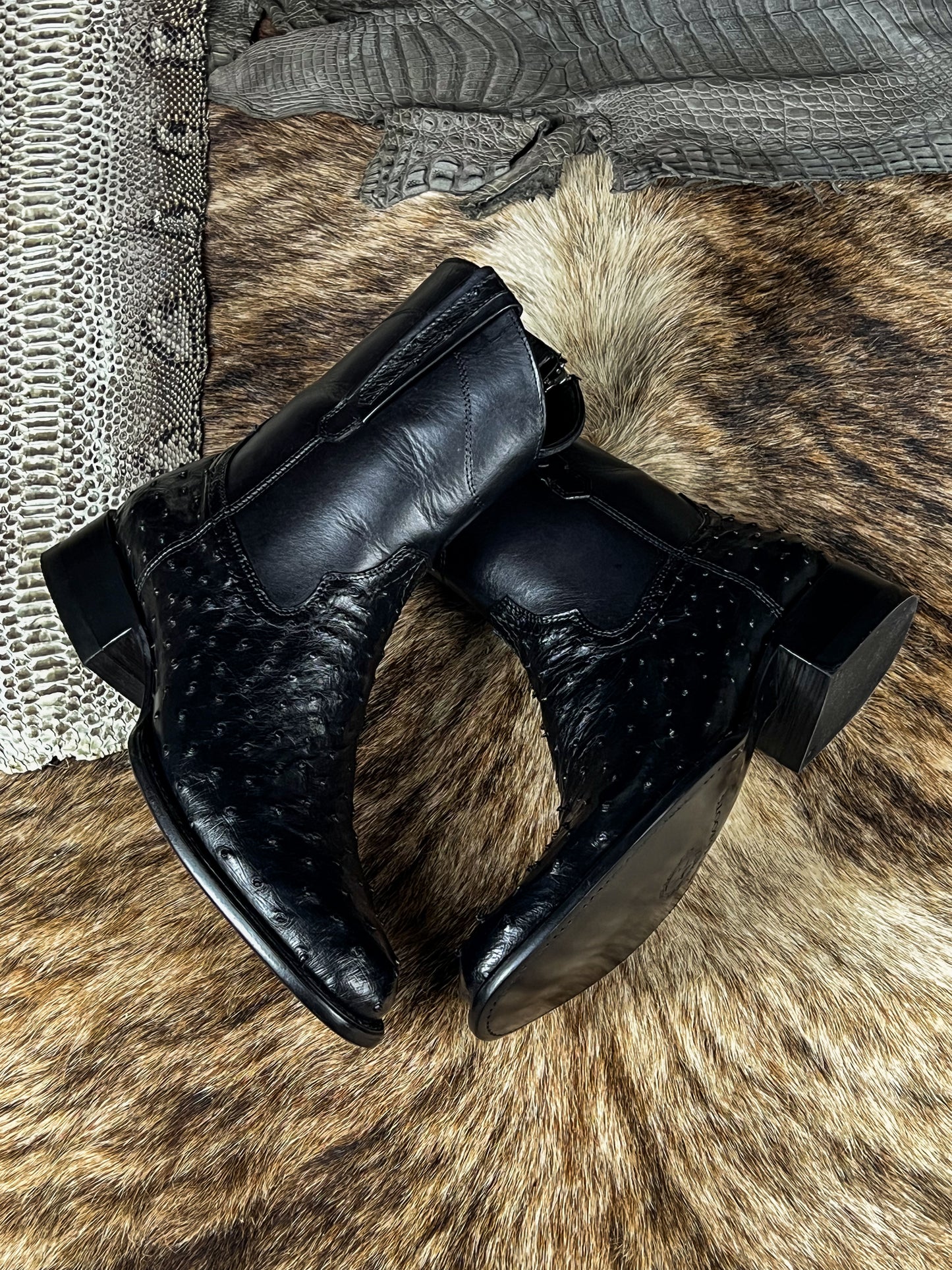 EMMA BLACK AVESTRUZ BOOTS OVAL