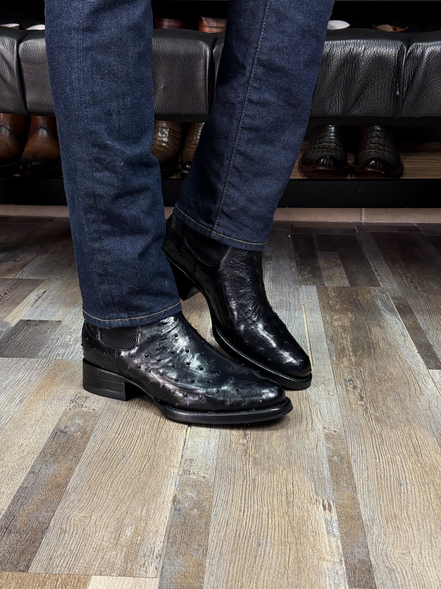 CHELSEA BLACK AVESTRUZ OVAL