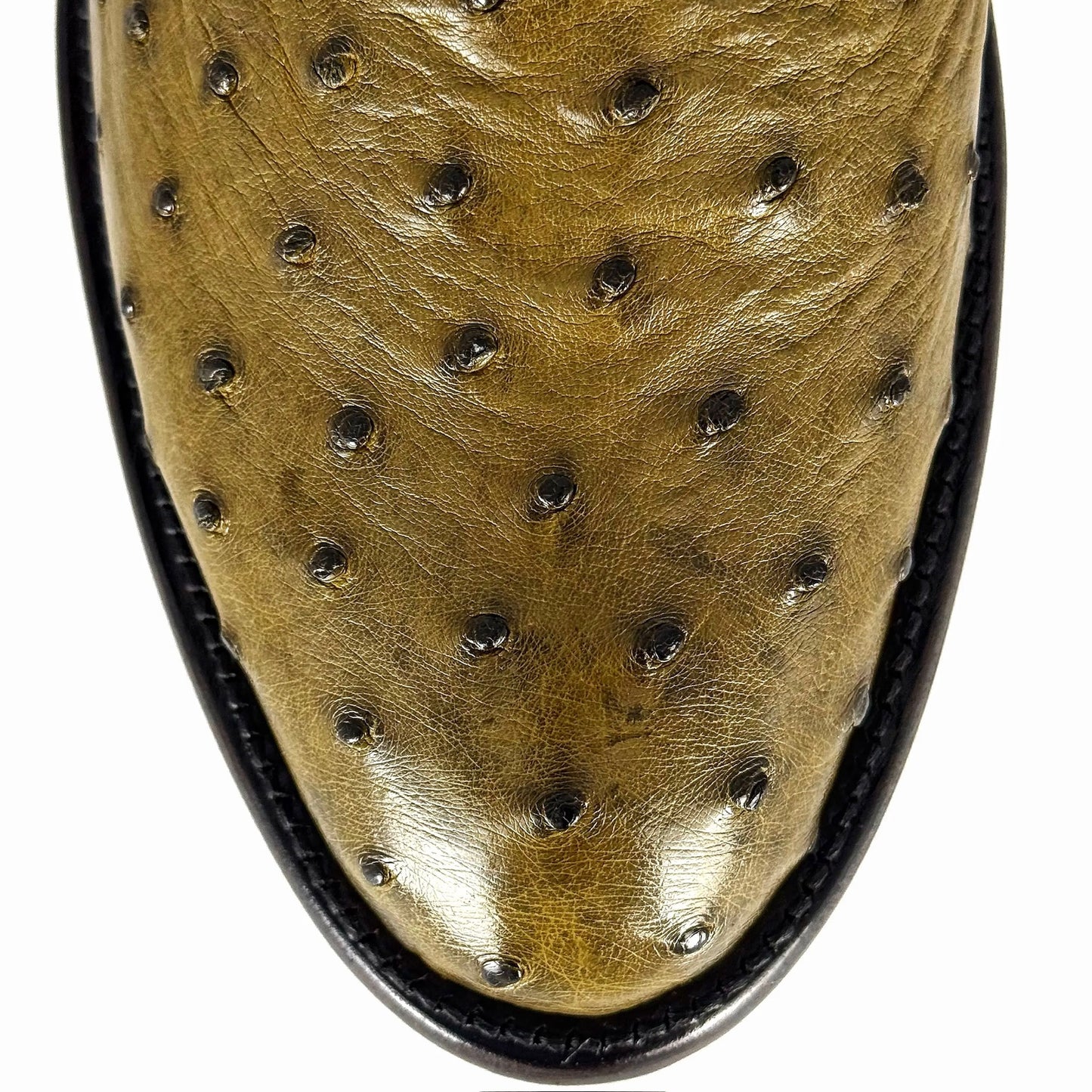 CHELSEA VERDE AVESTRUZ OVAL