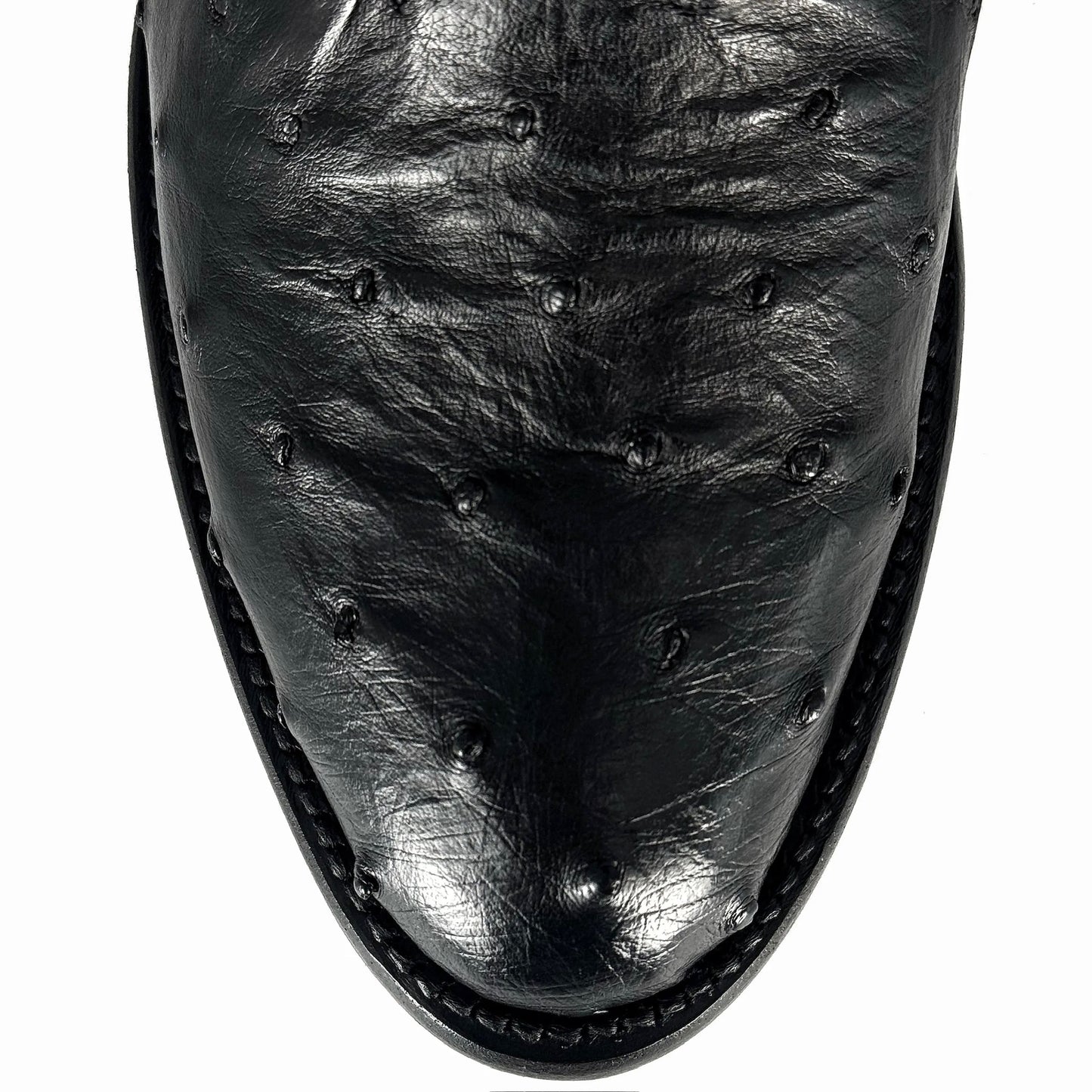 COWBOY NEGRO FULL AVESTRUZ OVAL