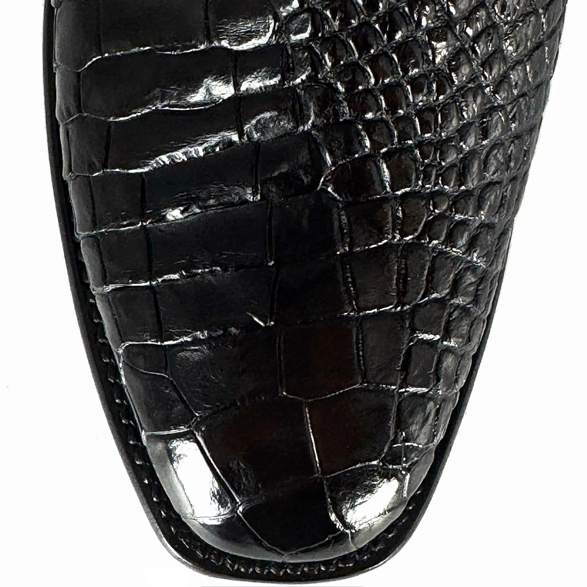 ARTHUR CAFE COCODRILO ALLIGATOR FRANCESA