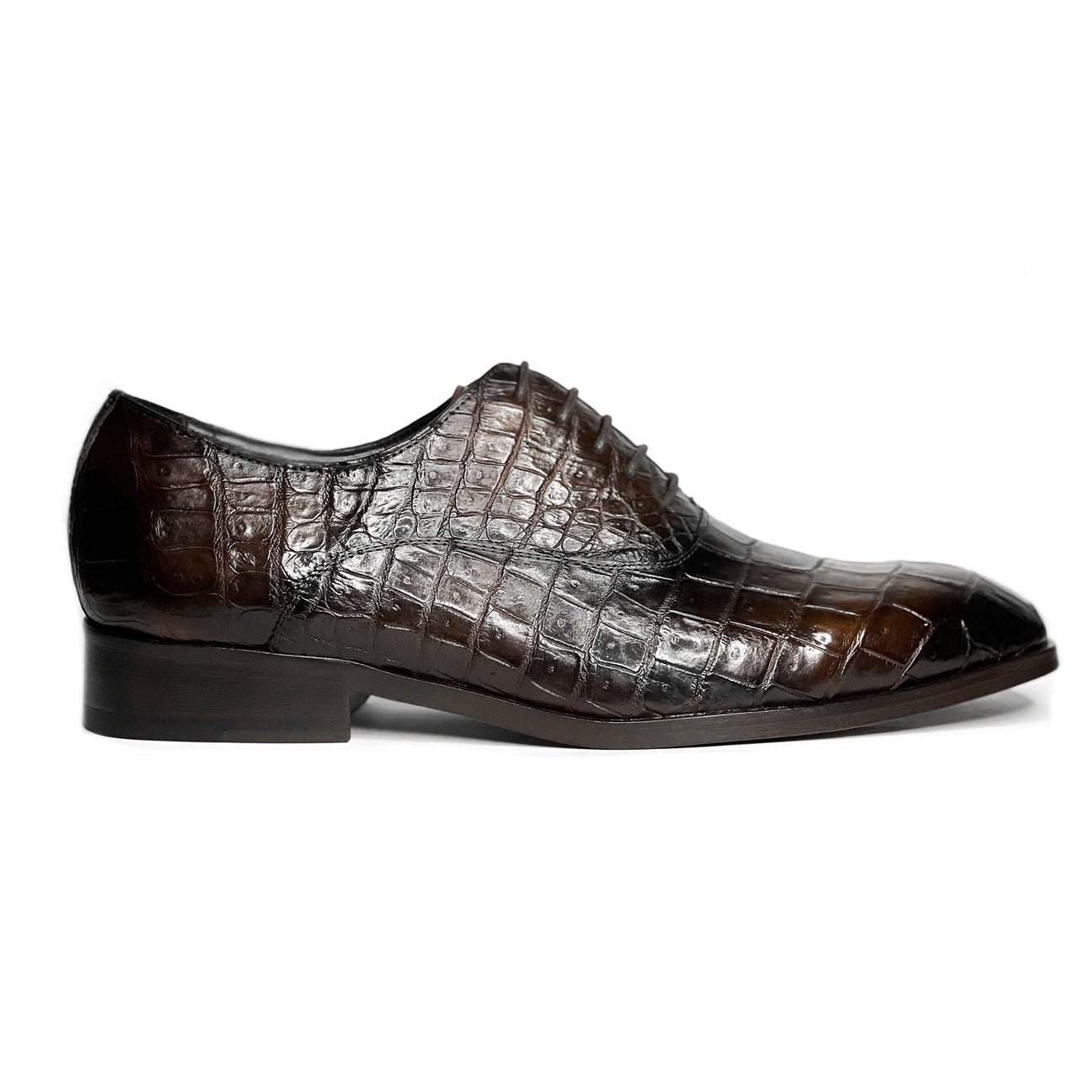 BROWM CROCO ALEXANDER