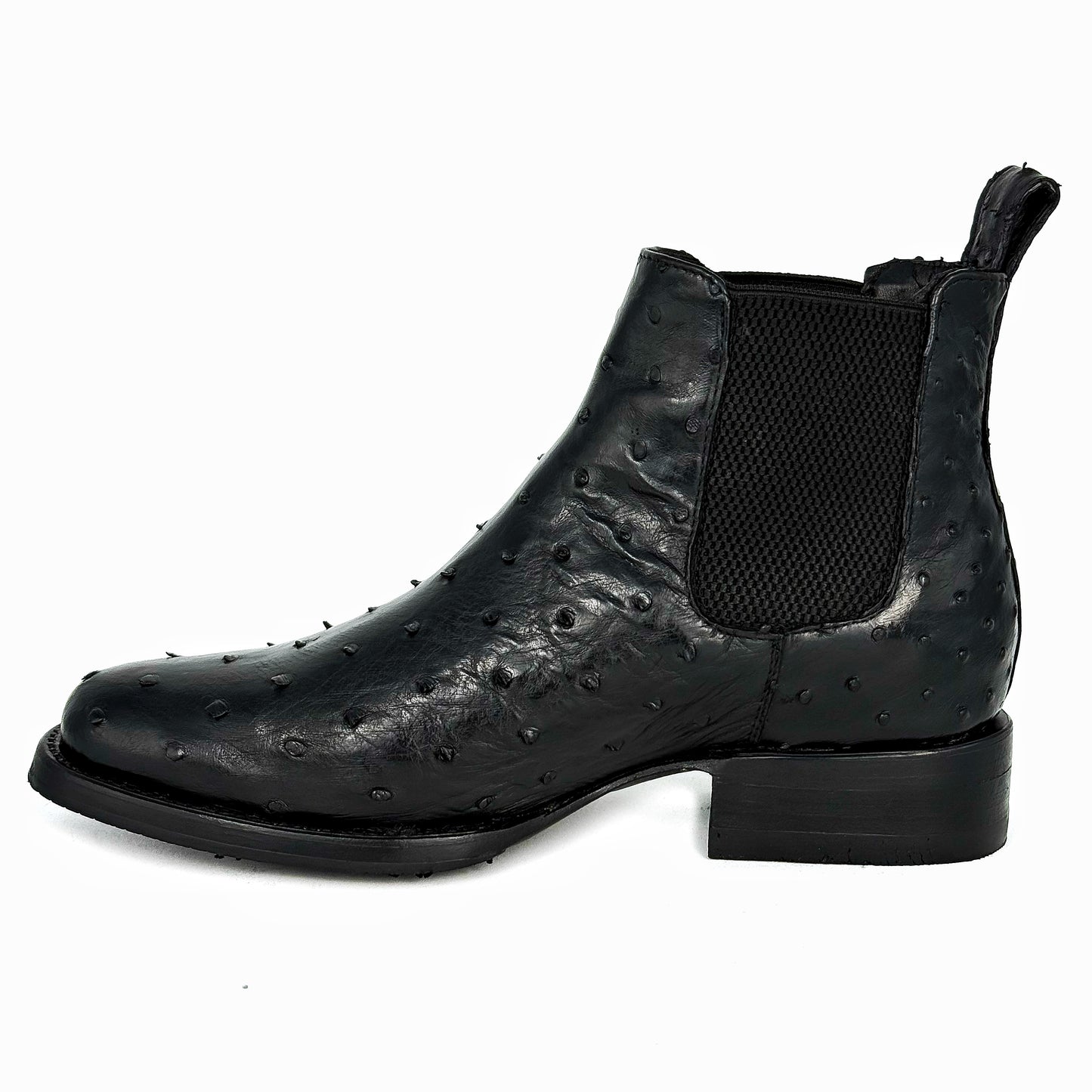 CHELSEA BLACK AVESTRUZ OVAL
