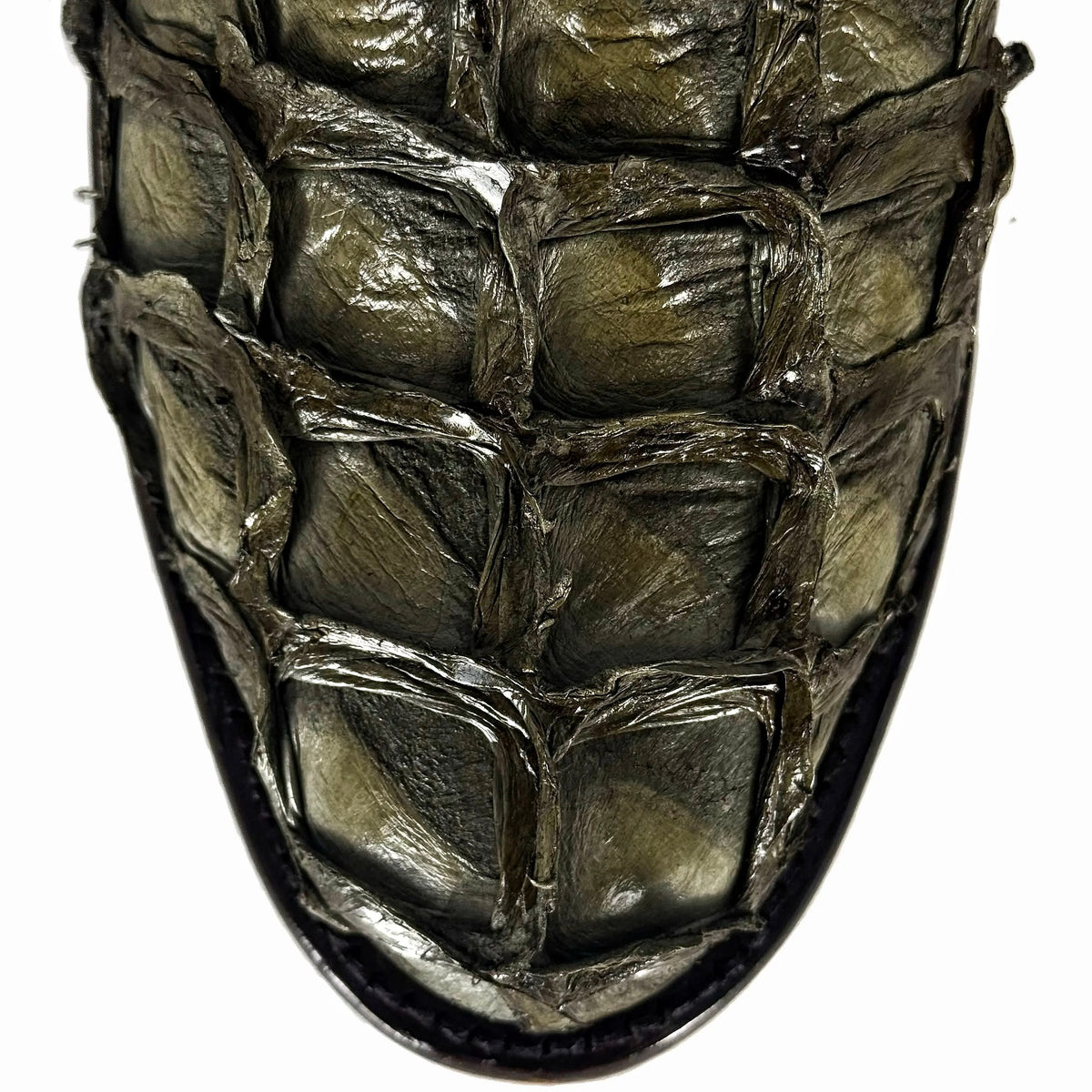 MÁXIMO VERDE PIRARUCU OVAL