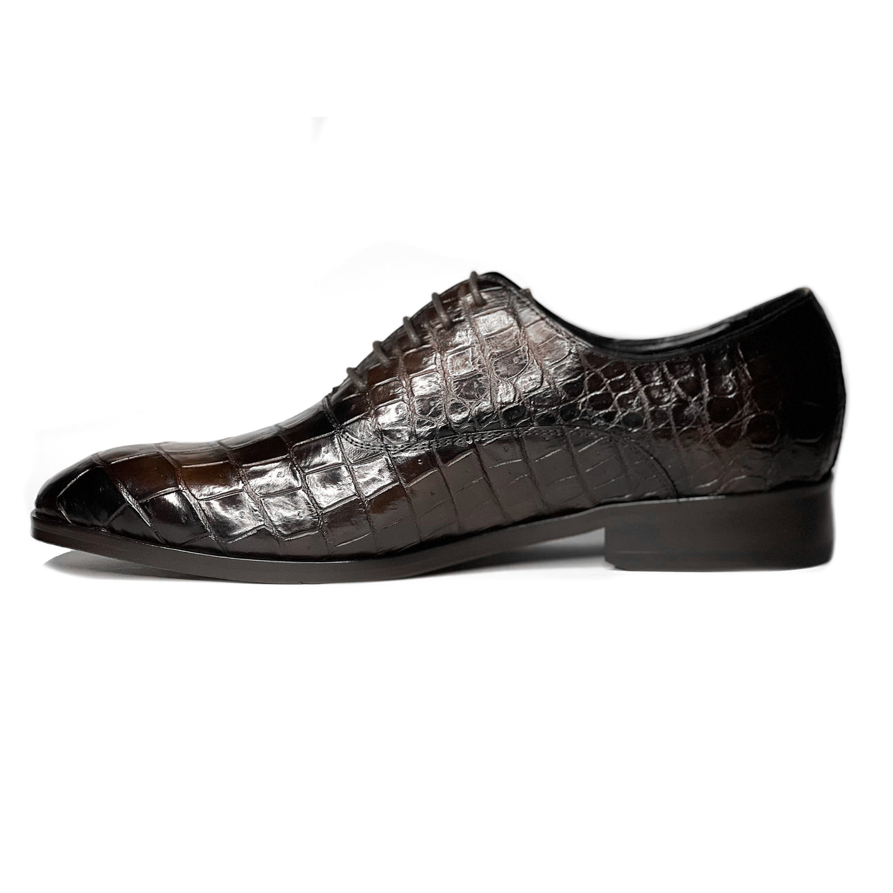 BROWM CROCO ALEXANDER