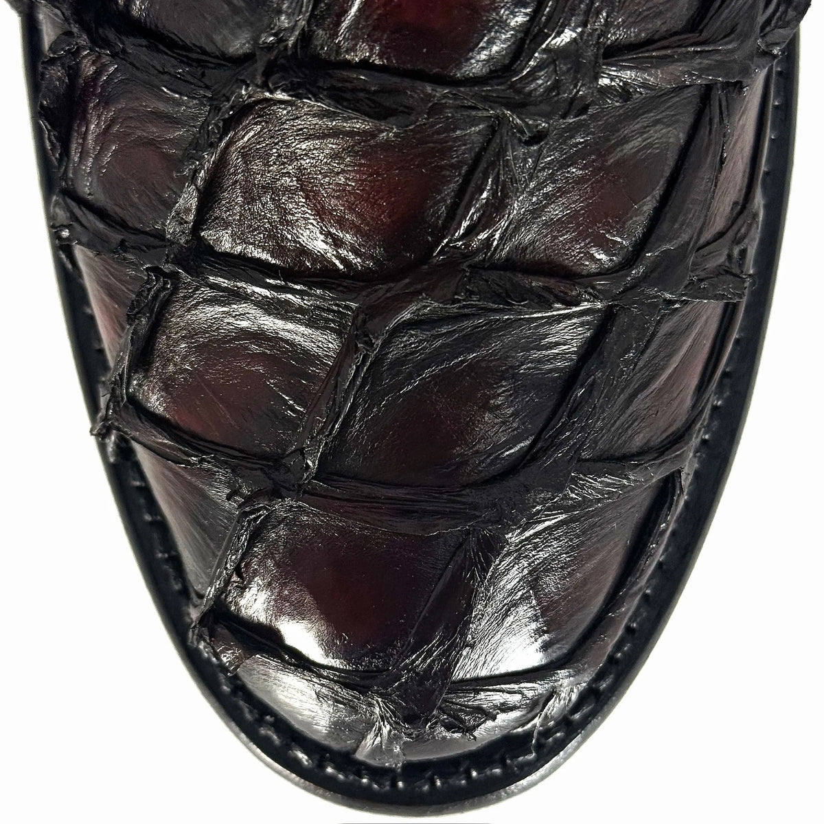 SEBASTIAN VINO PIRARUCU OVAL