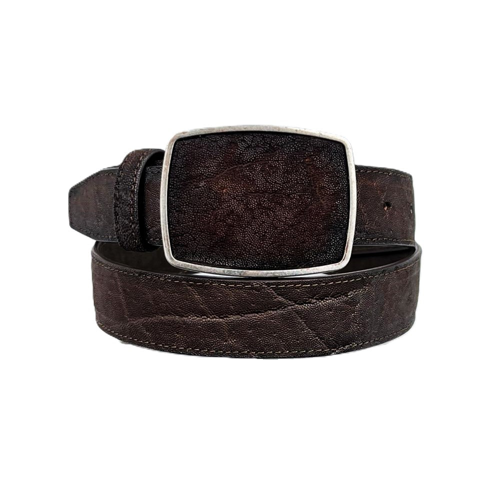 CINTO ELEFANTE BROWN HEBILLA CUADRADA
