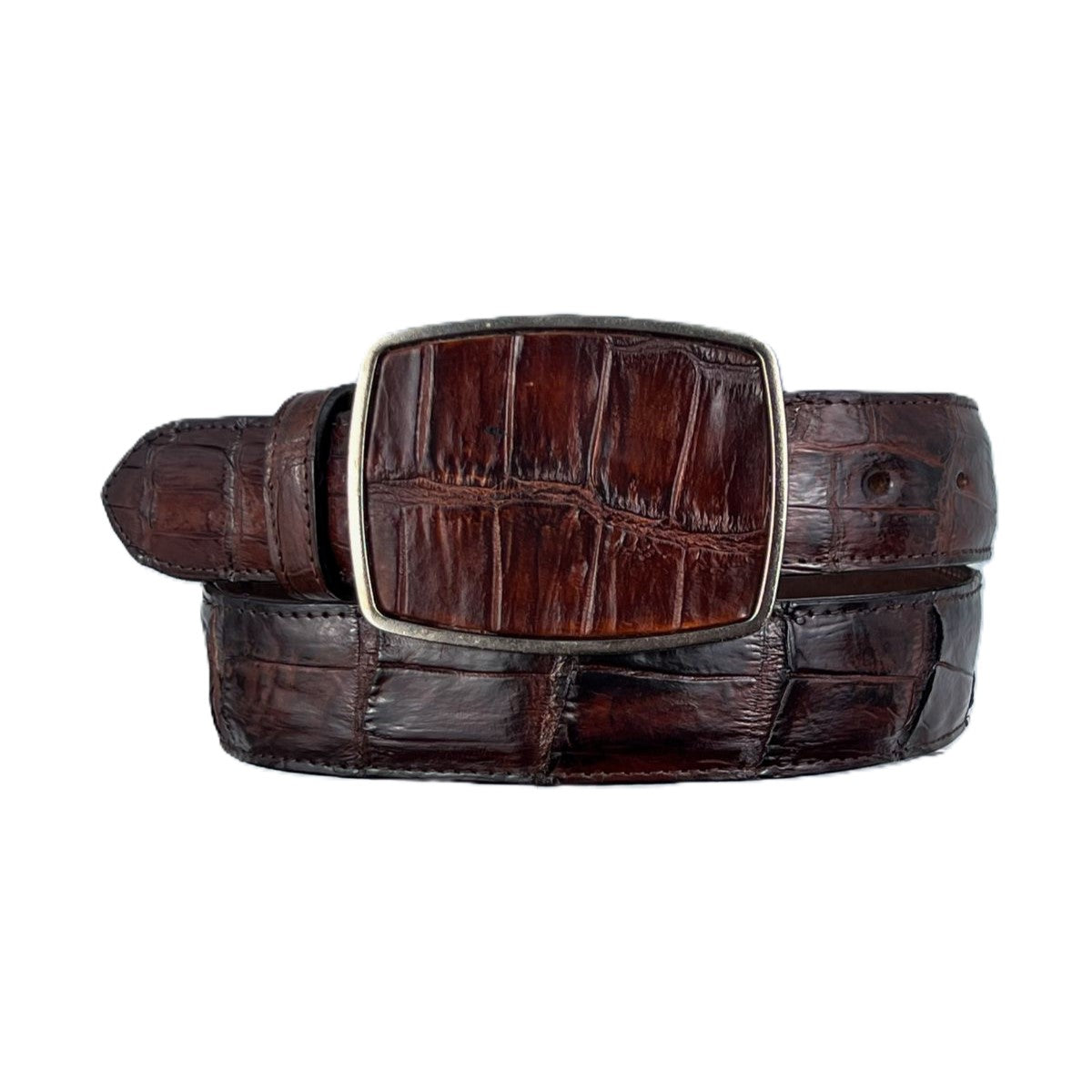 CINTO COCODRILO DARK BROWN HEBILLA CUADRA - Main Image