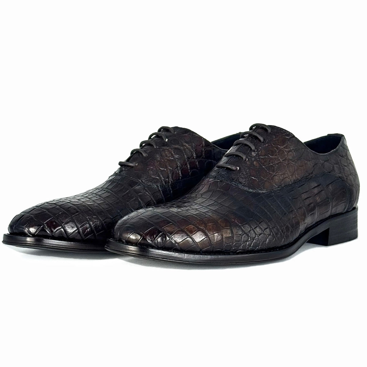 CAFE CROCO ALEXANDER