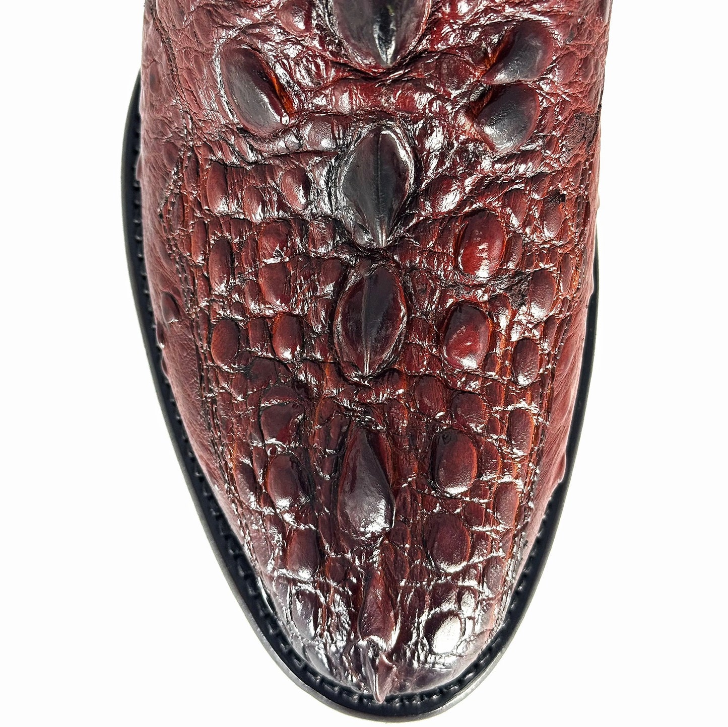 MÁXIMO ROJO COLA DE TORTUGA MORDELONA OVAL