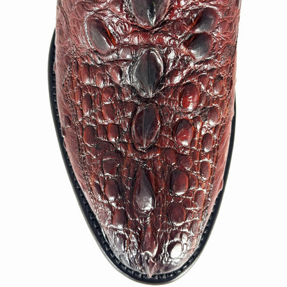 MÁXIMO ROJO COLA DE TORTUGA MORDELONA OVAL