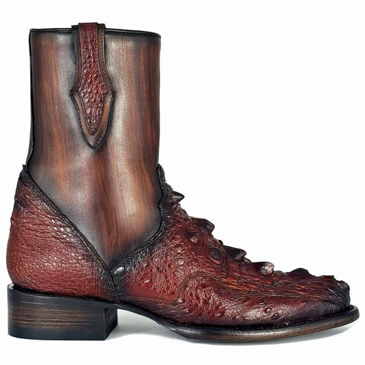 MÁXIMO ROJO COLA DE TORTUGA MORDELONA OVAL