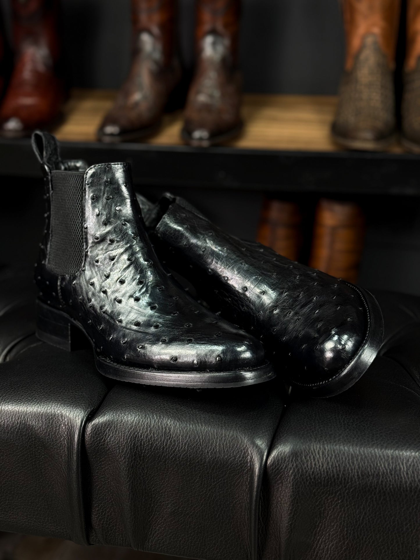 CHELSEA BLACK AVESTRUZ OVAL