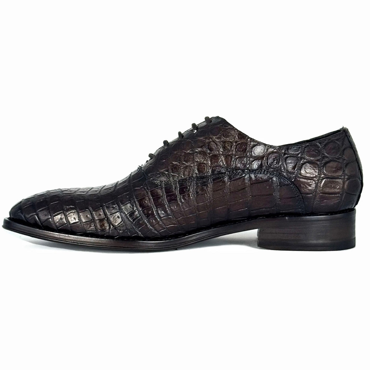 CAFE CROCO ALEXANDER