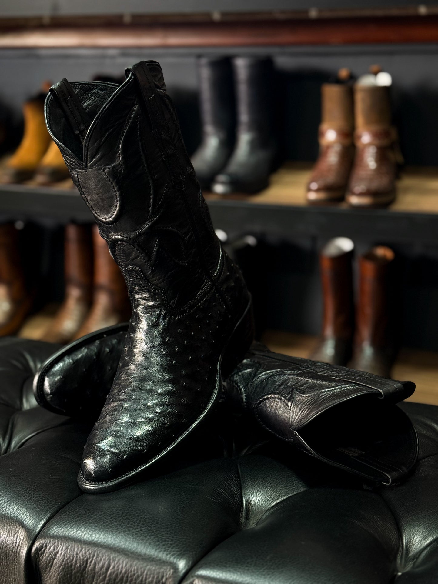 COWBOY BLACK AVESTRUZ BOOTS OVAL