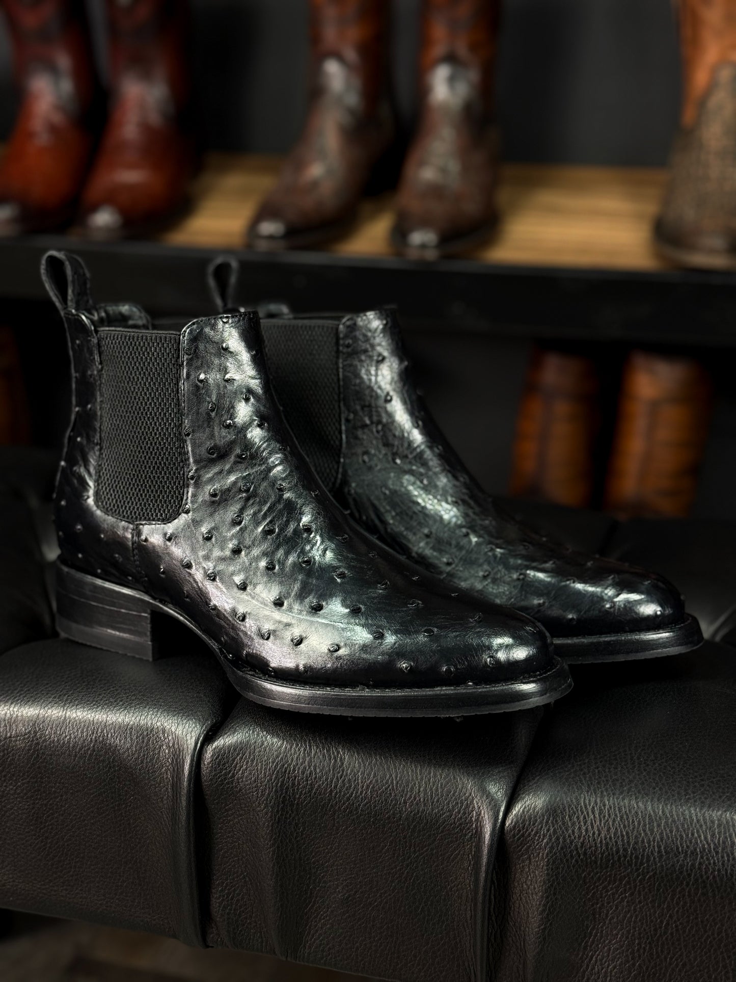 CHELSEA BLACK AVESTRUZ OVAL