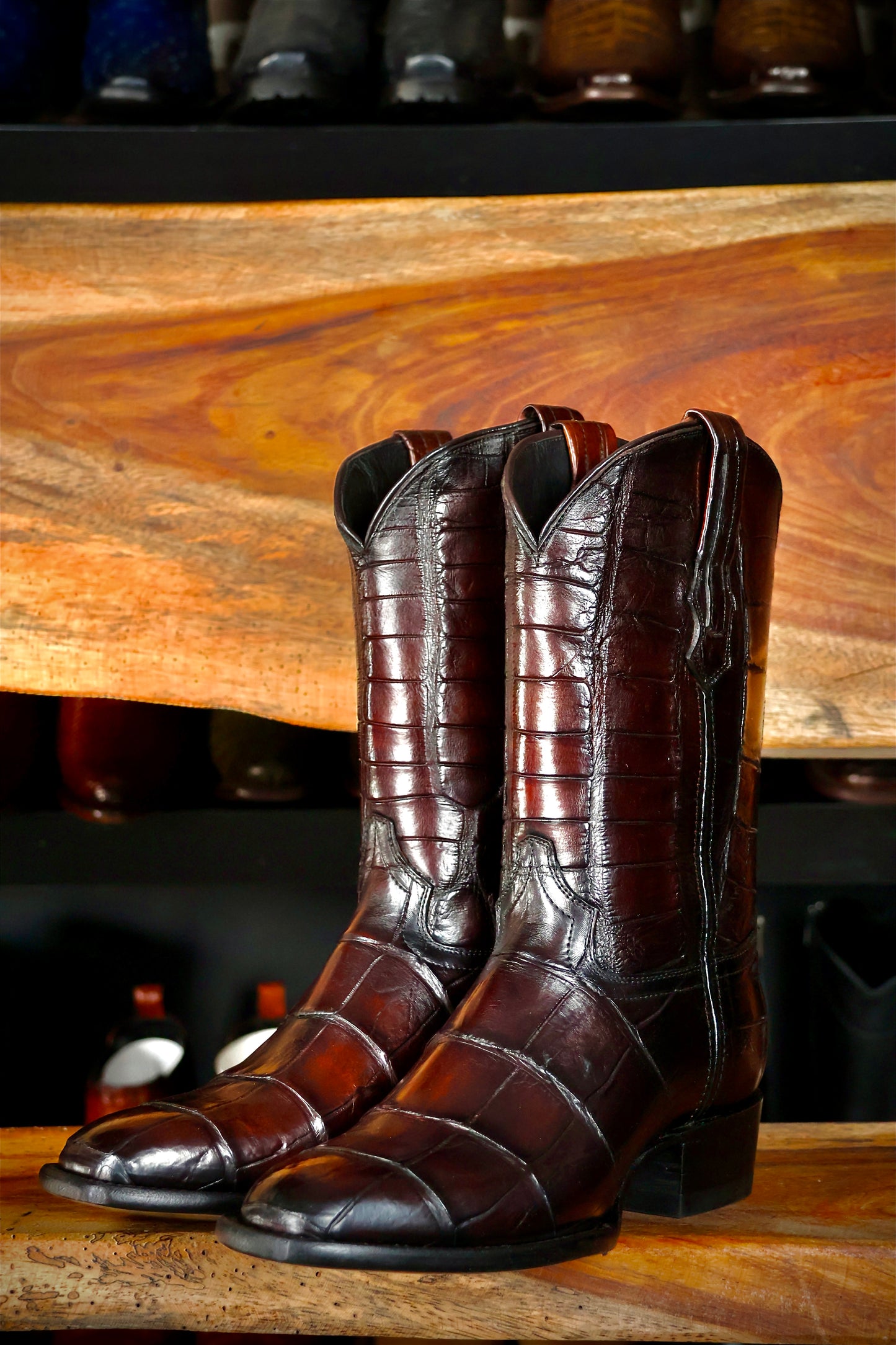 COWBOY CORDOBA FULL ALLIGATOR FRANCESA