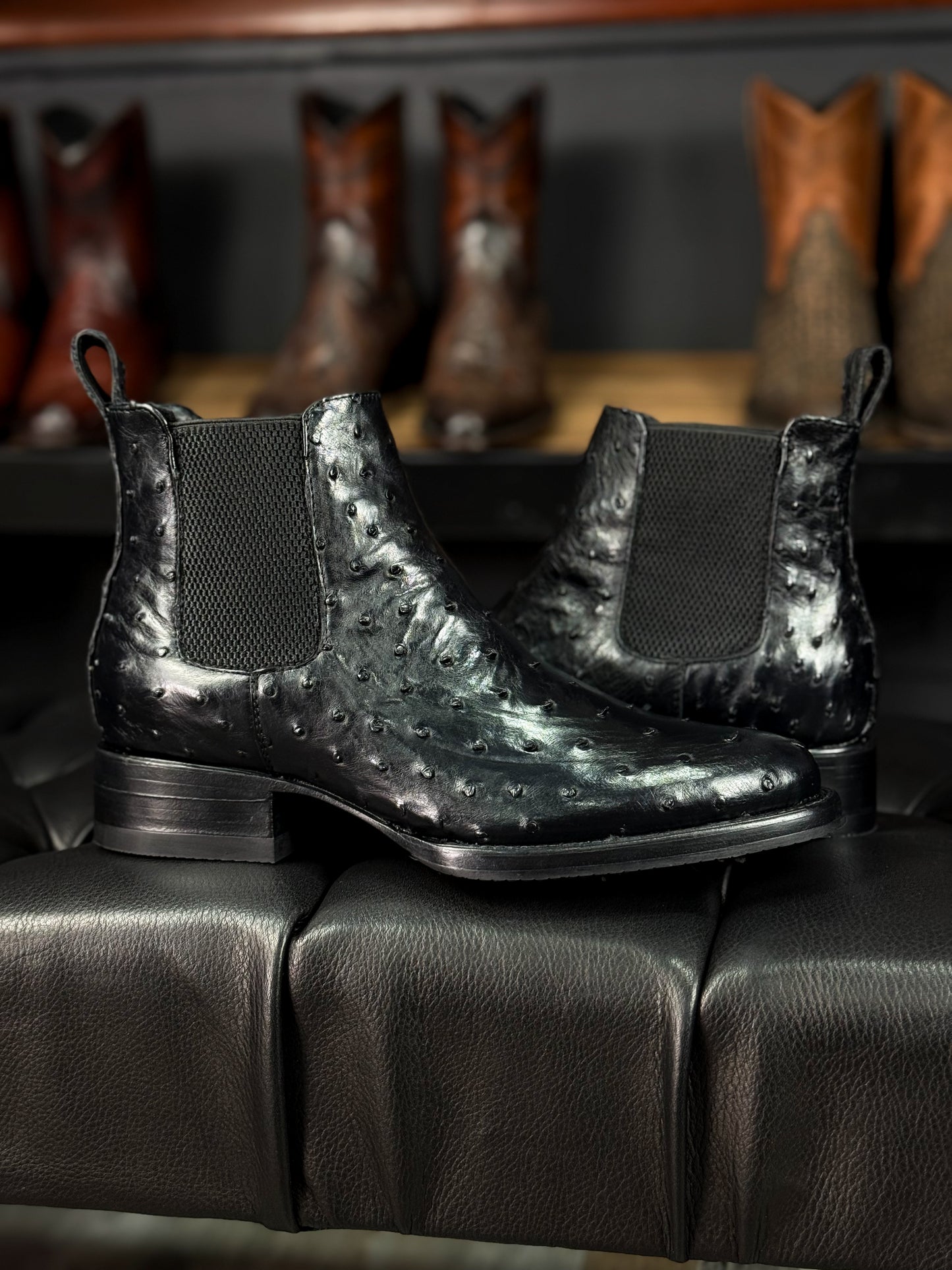 CHELSEA BLACK AVESTRUZ OVAL