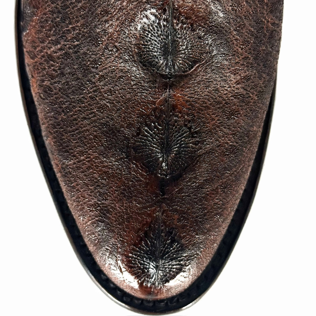 EMMA ESTURIÓN OVAL