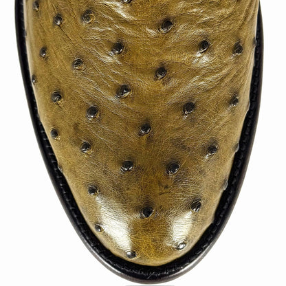 CHELSEA VERDE AVESTRUZ OVAL