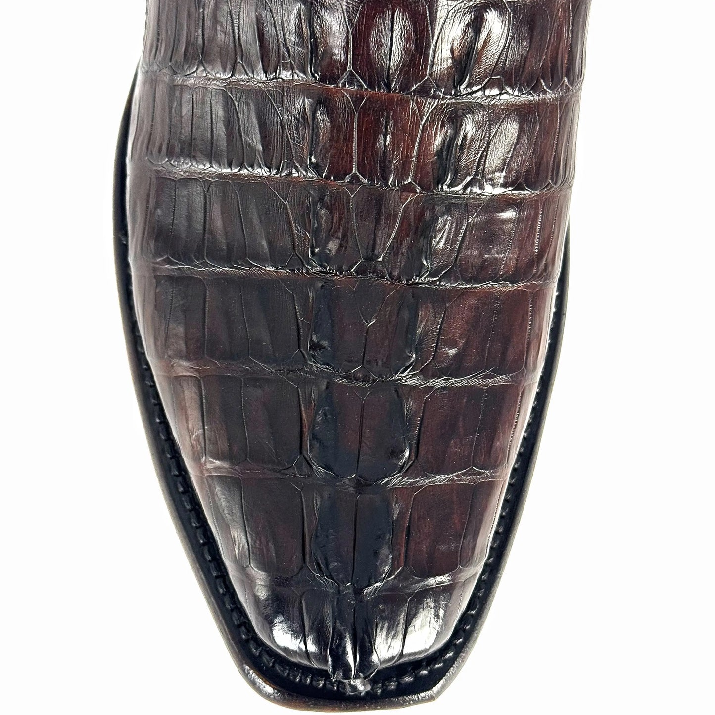 MÁXIMO COLA DE COCODRILO FUSCUS NEVADA