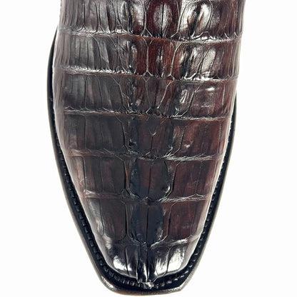 MÁXIMO COLA DE COCODRILO FUSCUS NEVADA