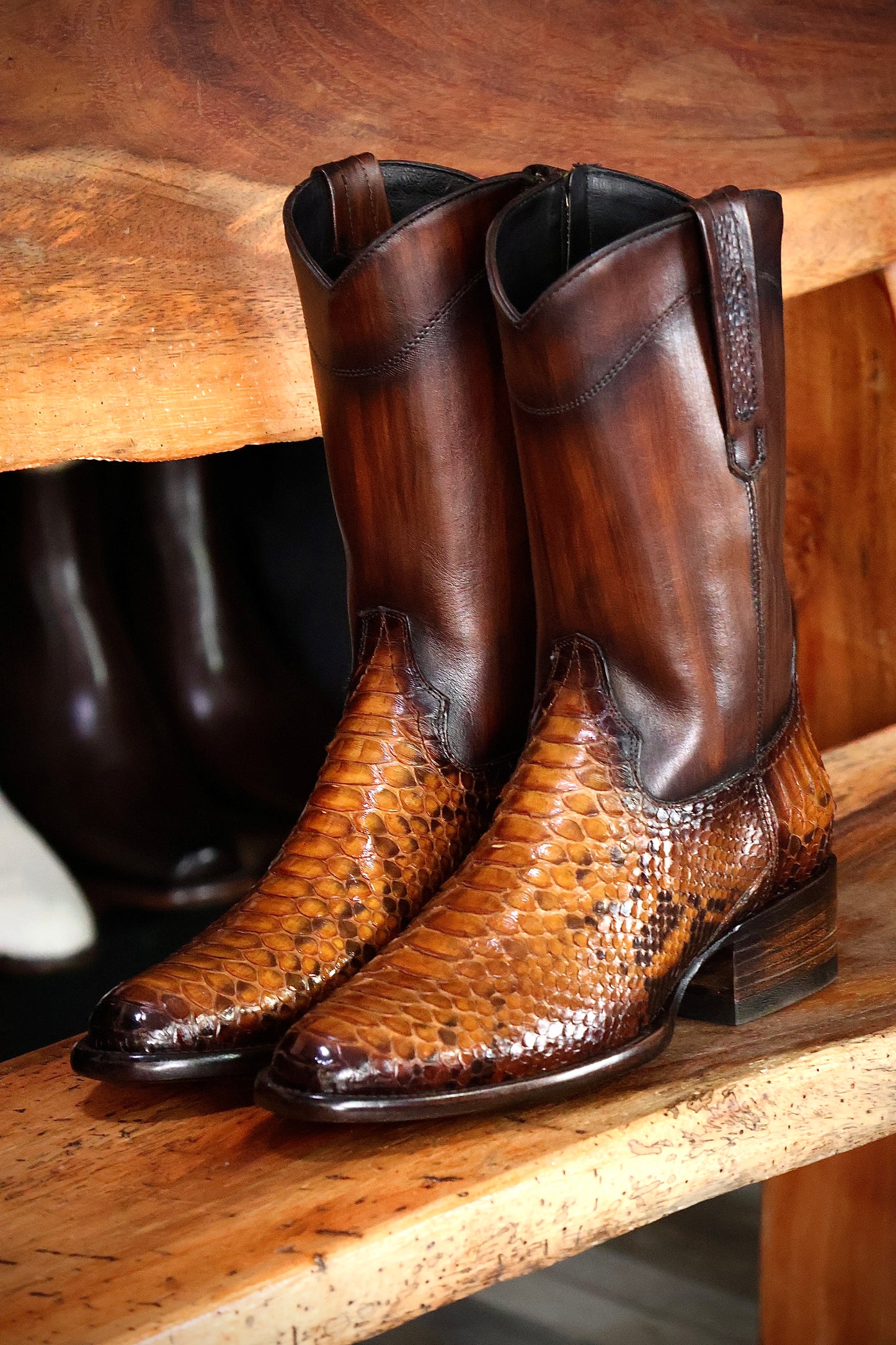 EMMA HIGH HONEY PYTHON OVAL