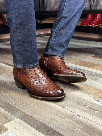 EMMA BROWN FULL AVESTRUZ BOOTS OVAL
