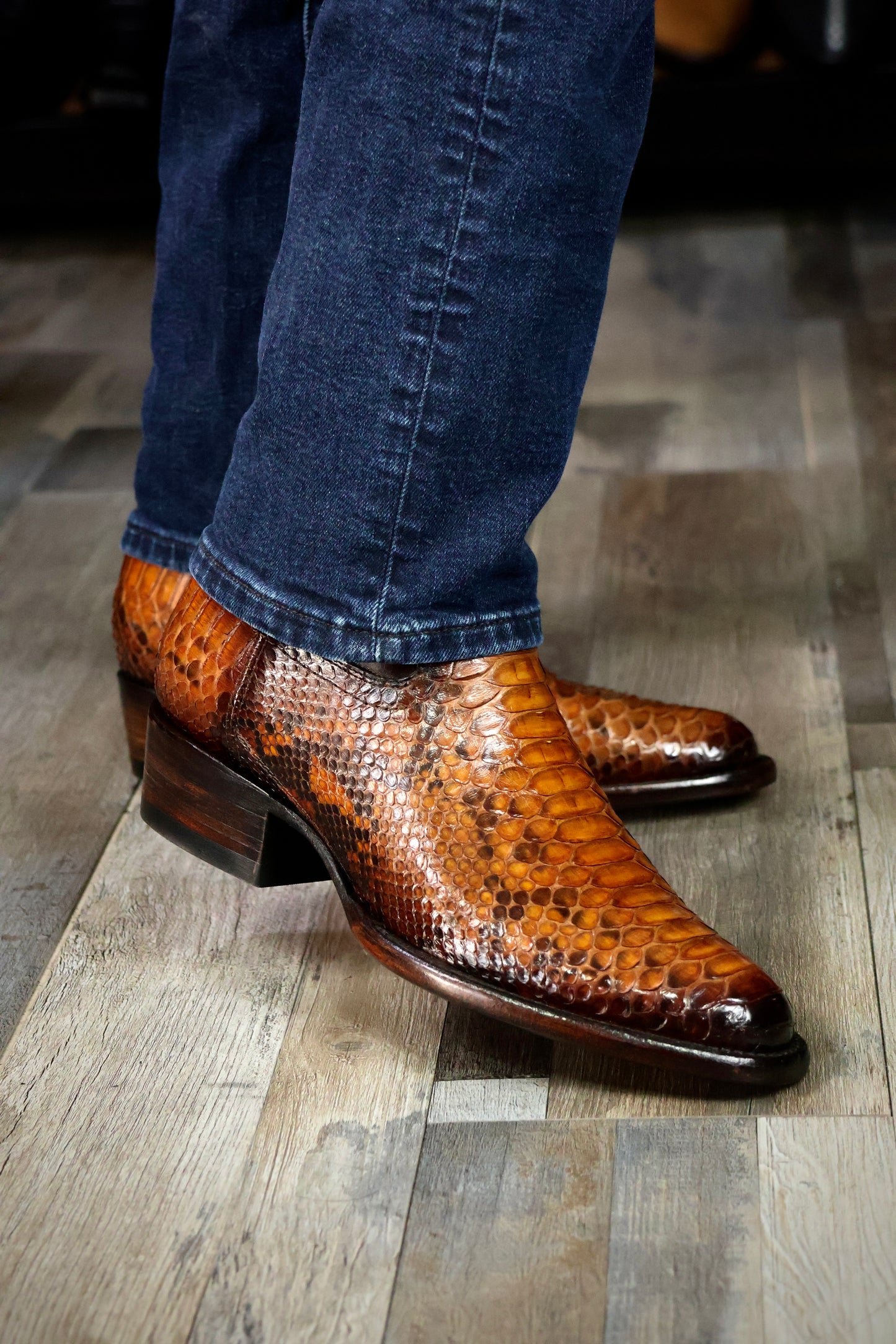 EMMA HIGH HONEY PYTHON OVAL