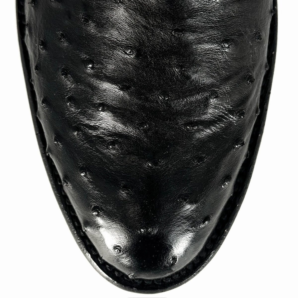 EMMA BLACK FULL OSTRICH OVAL