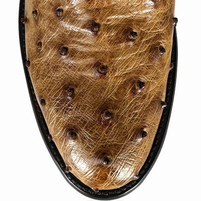 EMMA MIEL AVESTRUZ OVAL