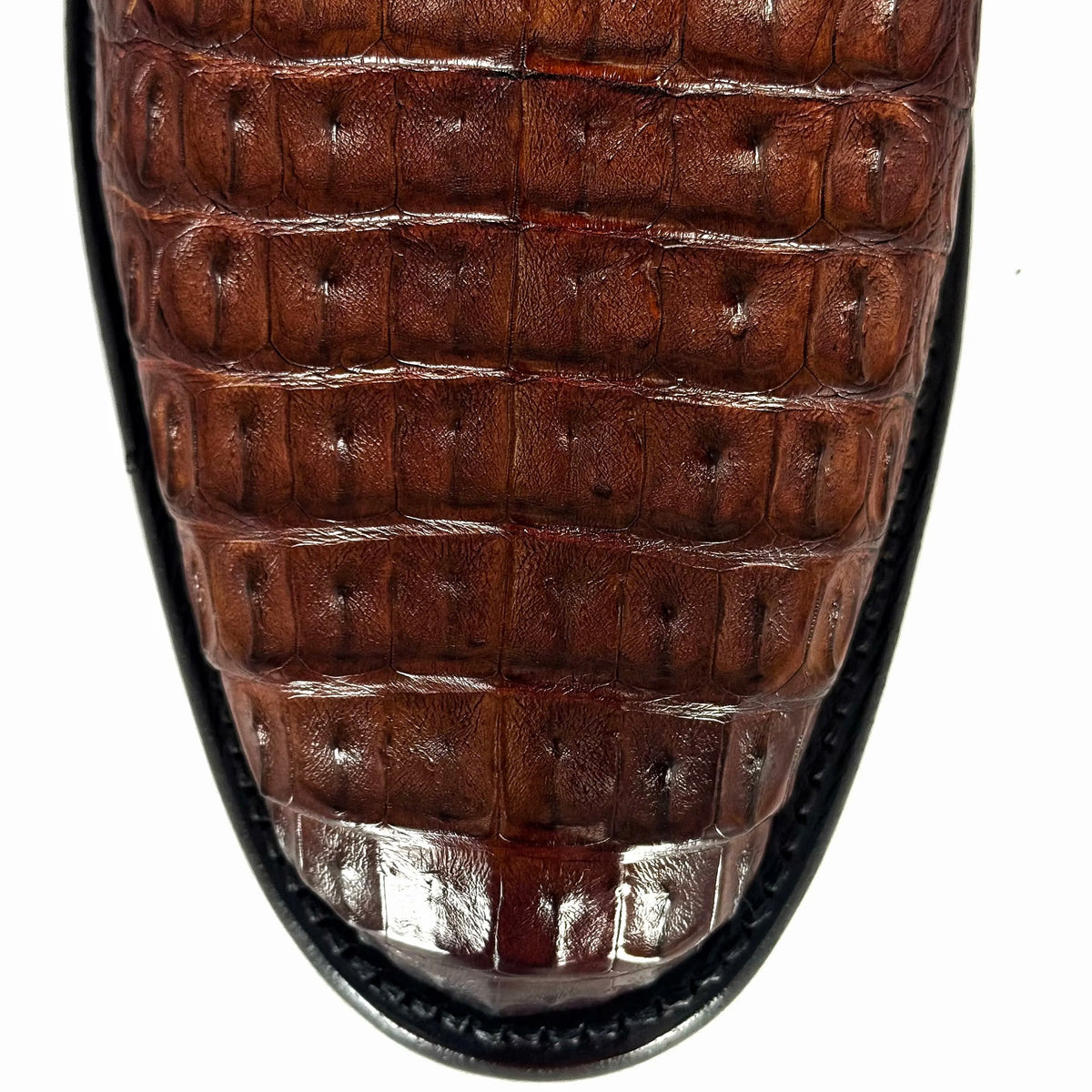 SEBASTIAN MIEL LOMO DE COCODRILO OVAL